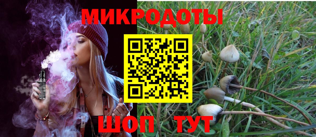 Галлюциногенные грибы мухоморы Луховицы